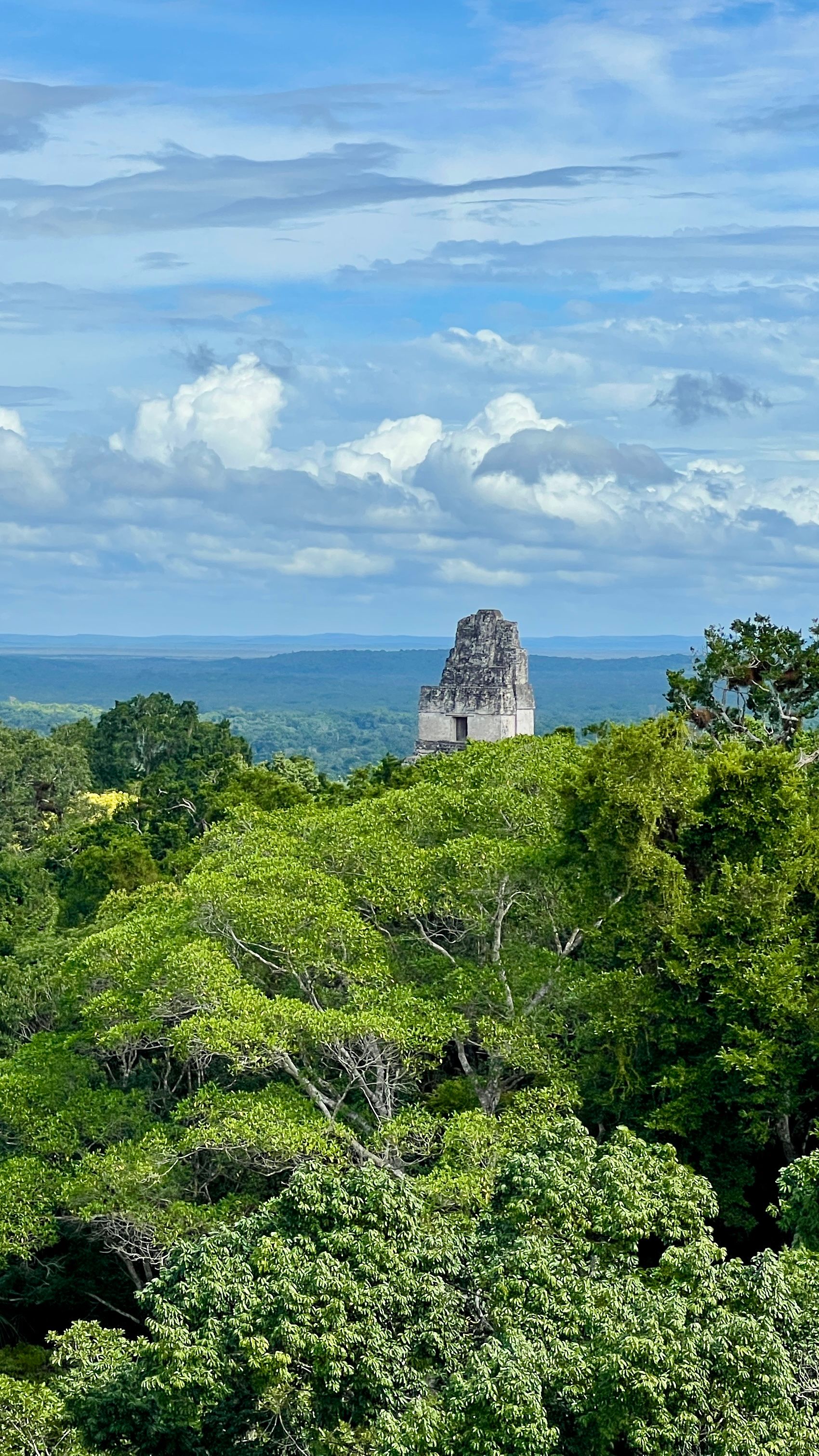 Tikal N.P.