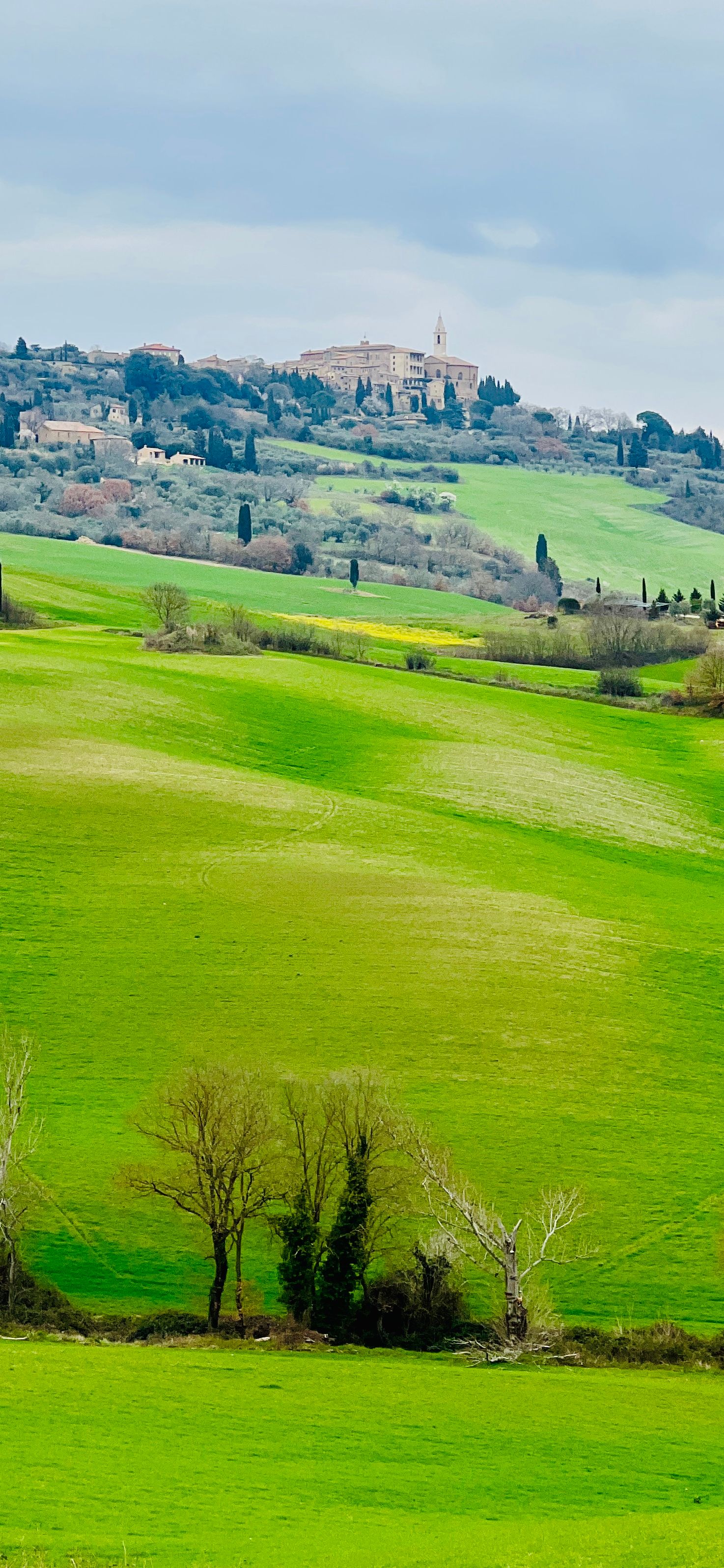 Pienza