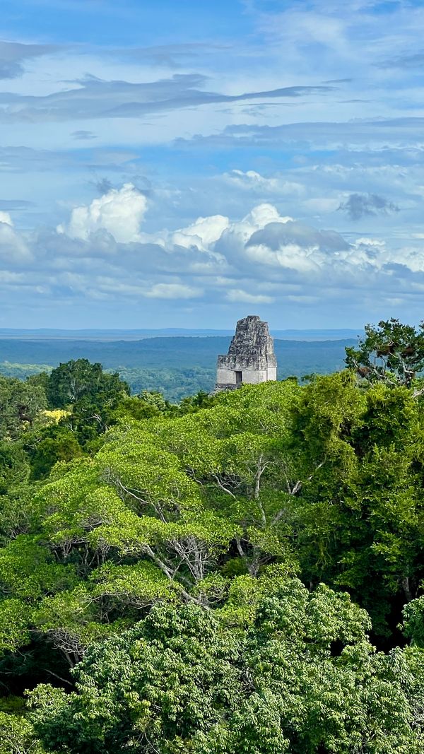 Tikal N.P.