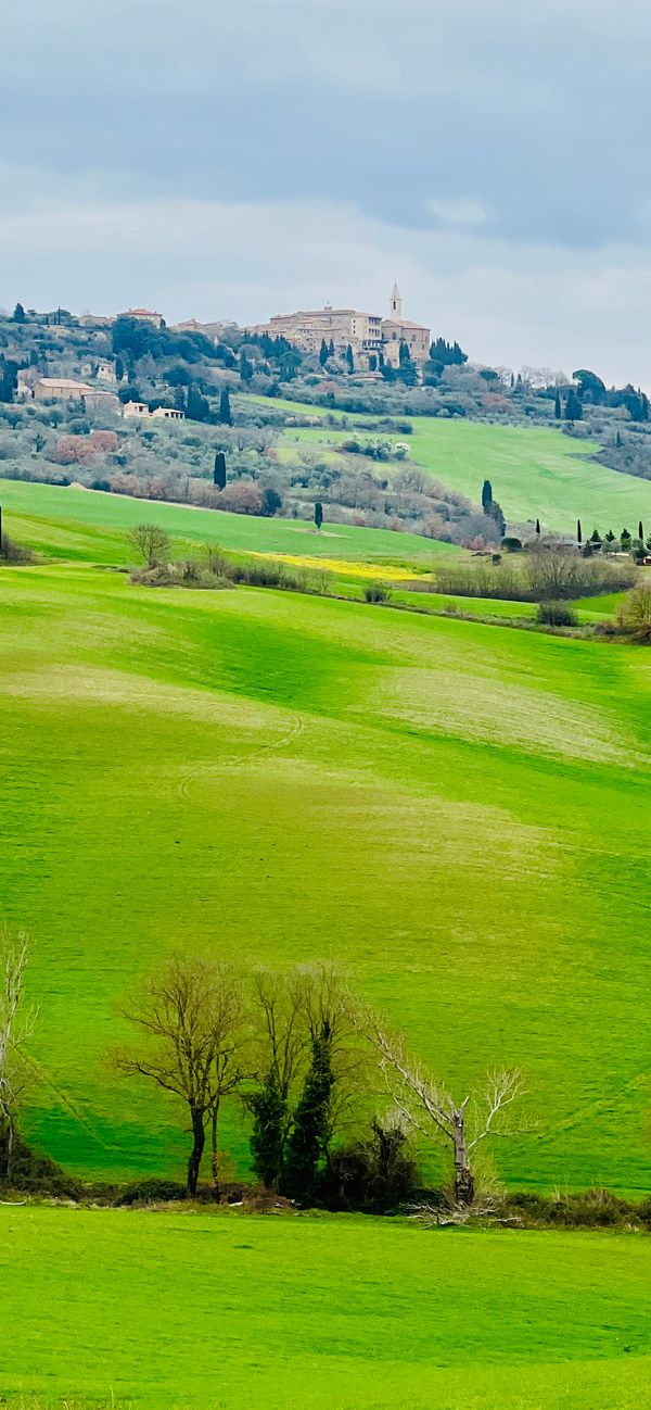 Pienza
